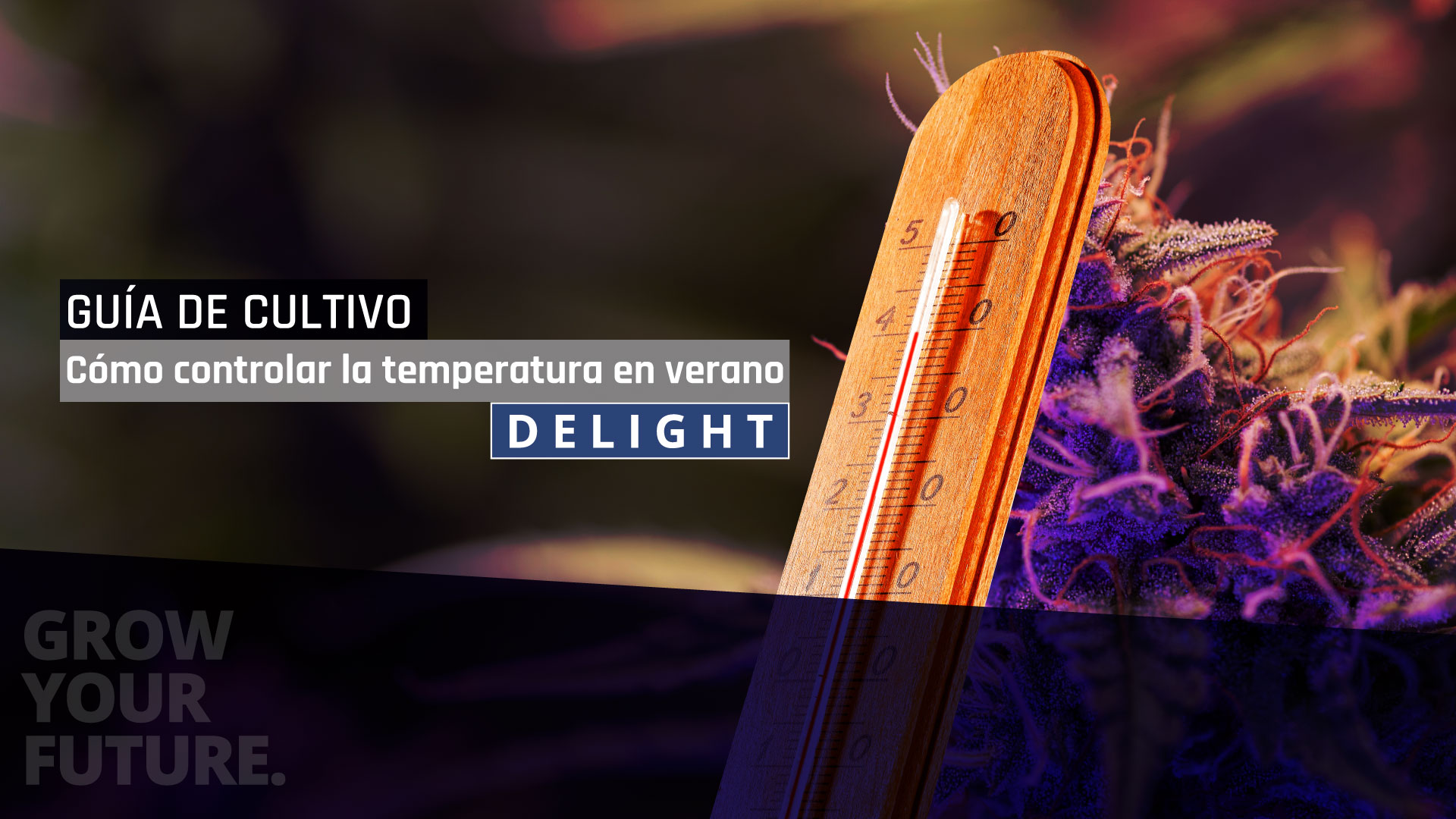 Como Controlar La Temperatura En Verano Blog Delight Cultiva