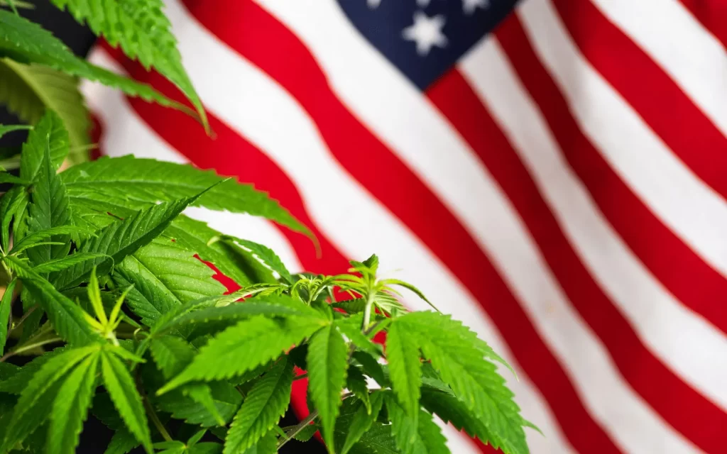 Legislación del cannabis en USA
