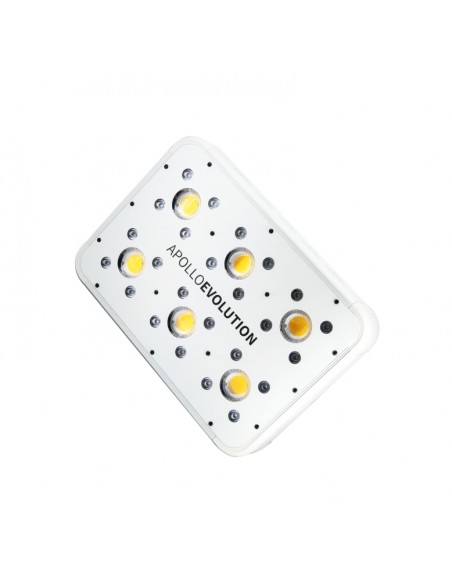 apollo evolution 6 delight luz led indoor apollo evolution 6 delight luz led indoor