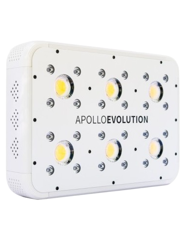apollo evolution 6 delight apollo evolution 6 delight