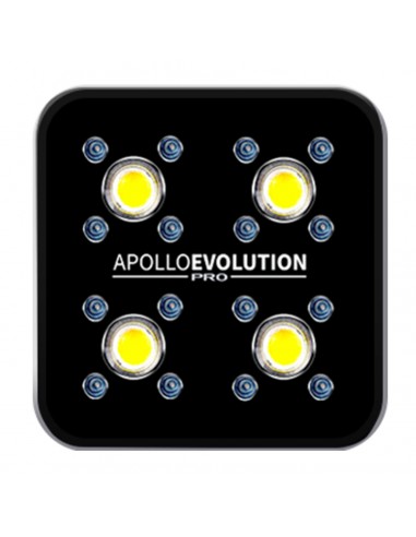 apollo evolution pro 4 luz led cob cultivo indoor